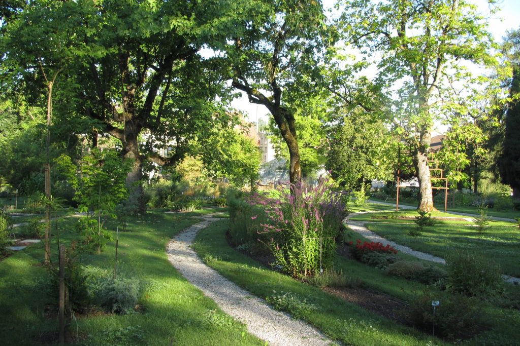 Botanischer Garten Der Universitat Freiburg Botanica